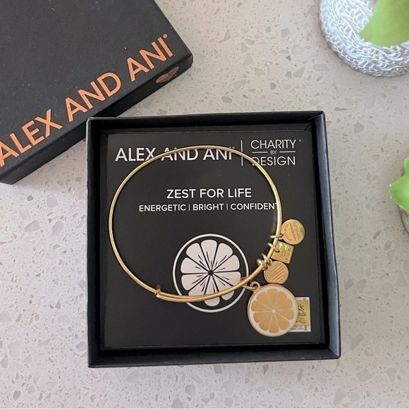 ALEX AND ANI zest for life bangle bracelet EUC - Picture 1 of 11